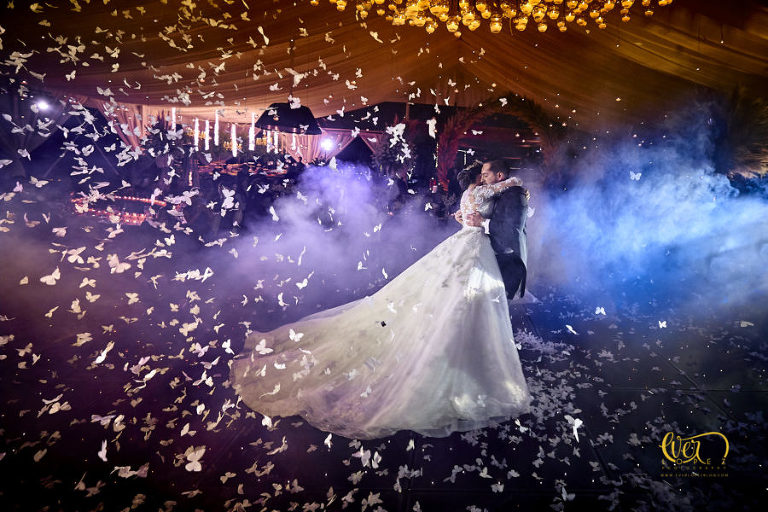 Las mejores fotos de bodas del mundo del 2019